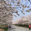 上海旅游 缩略图 7