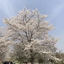 上海旅游 缩略图 8
