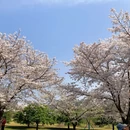 上海旅游 缩略图 3
