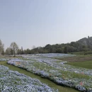 上海旅游 缩略图 11