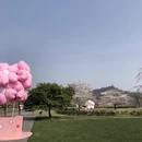 上海旅游 缩略图 10