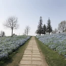 上海旅游 缩略图 14