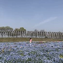上海旅游 缩略图 15