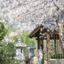 石家庄旅游 缩略图 5