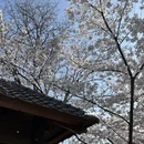 石家庄旅游 缩略图 9