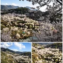 绍兴旅游 缩略图 4