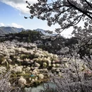 绍兴旅游 缩略图 6