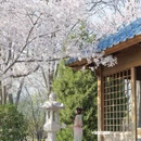石家庄旅游 缩略图 6
