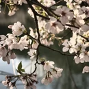 绍兴旅游 缩略图 16
