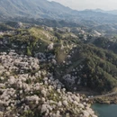 绍兴旅游 缩略图 14