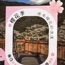 绍兴旅游 缩略图 9