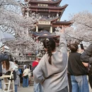 无锡旅游 缩略图 4