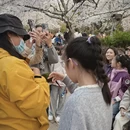 无锡旅游 缩略图 5