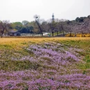 北京旅游 缩略图 9