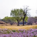 北京旅游 缩略图 10