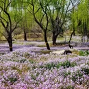 北京旅游 缩略图 11