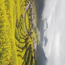 上饶旅游 缩略图 3