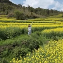上饶旅游 缩略图 11