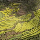 上饶旅游 缩略图 10