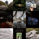 杭州旅游 缩略图 1