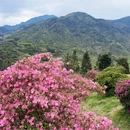 黄山旅游 缩略图 3