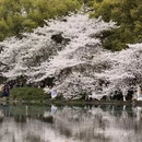 杭州旅游 缩略图 14