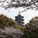杭州旅游 缩略图 13