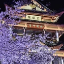 无锡旅游 缩略图 3