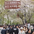 南京旅游 缩略图 2