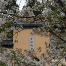 南京旅游 缩略图 1