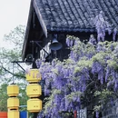 南京旅游 缩略图 5