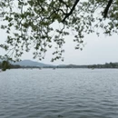 南京旅游 缩略图 5