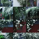 南京旅游 缩略图 3