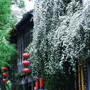 南京旅游 缩略图 10
