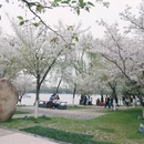 南京旅游 缩略图 4