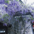 南京旅游 缩略图 6