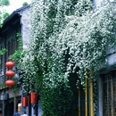 南京旅游 缩略图 9