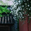 南京旅游 缩略图 12