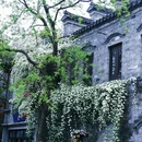 南京旅游 缩略图 11