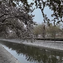 北京旅游 缩略图 7