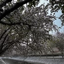 北京旅游 缩略图 8