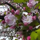 北京旅游 缩略图 2