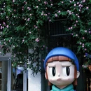 南京旅游 缩略图 17