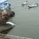 舟山旅游 缩略图 2