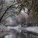 北京旅游 缩略图 11