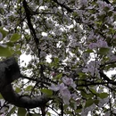 北京旅游 缩略图 9