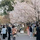 上海旅游 缩略图 5
