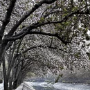北京旅游 缩略图 12