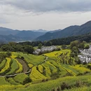 黄山旅游 缩略图 2