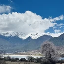 林芝旅游 缩略图 8